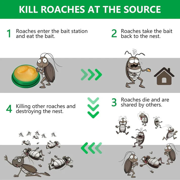 Cockroach Killer Gel for Home (BUY 1 GET 1)