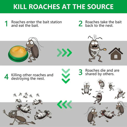 Cockroach Killer Gel for Home (BUY 1 GET 1)