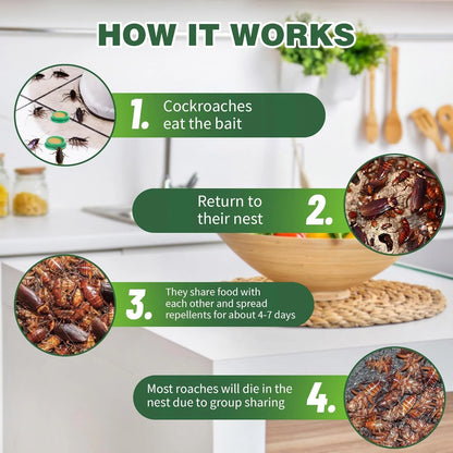 Cockroach Killer Gel for Home (BUY 1 GET 1)