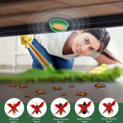Cockroach Killer Gel for Home (BUY 1 GET 1)